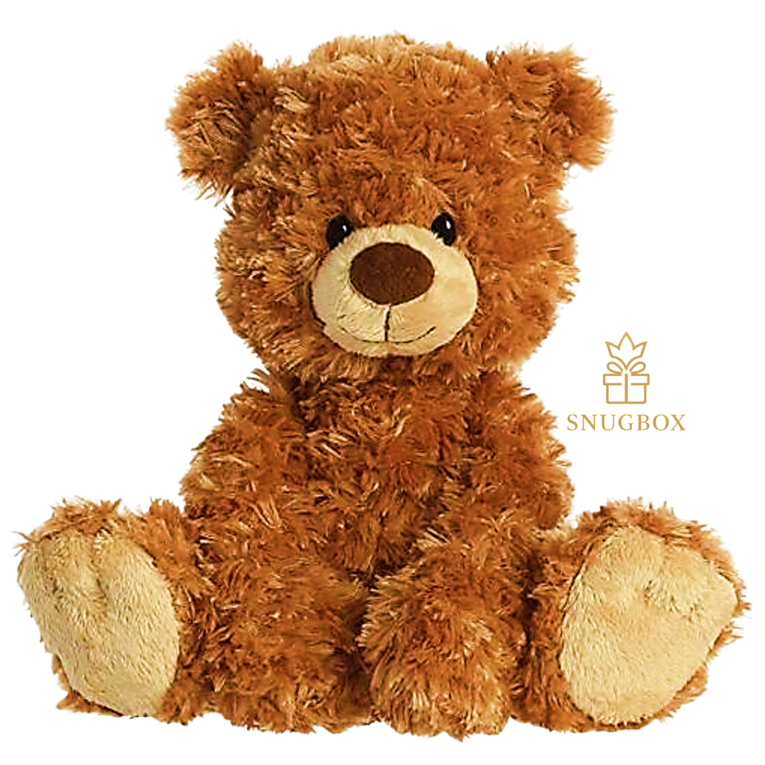 Snuggle Buddy Bear