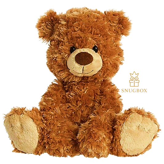 Snuggle Buddy Bear